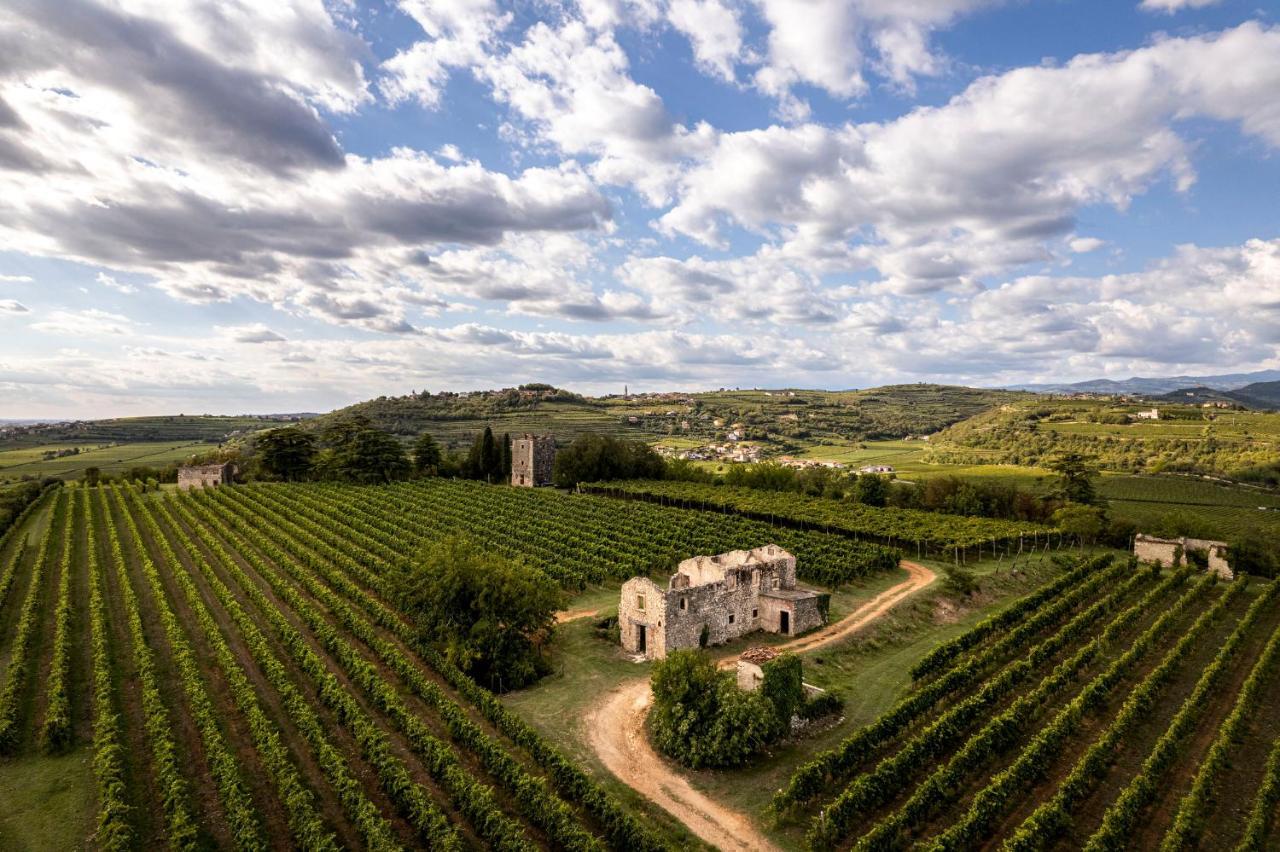Agriturismo Monte Bisson โซอาวี ภายนอก รูปภาพ