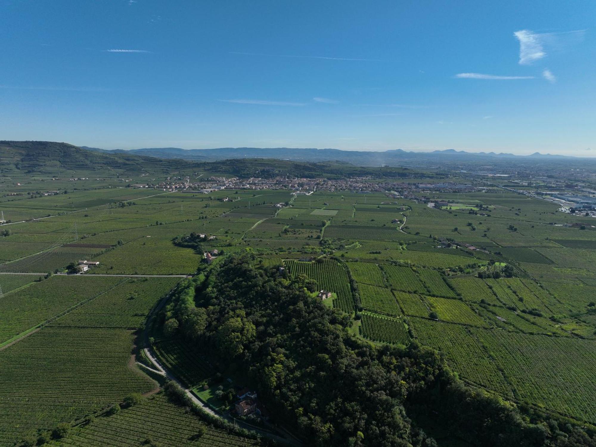 Agriturismo Monte Bisson โซอาวี ภายนอก รูปภาพ